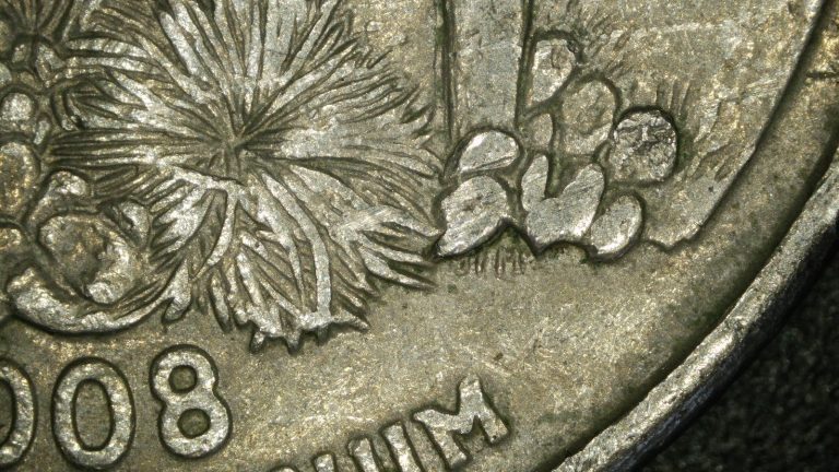 Detail view of the Arizona quarter reverse showing an interior die chip within the cactus design.