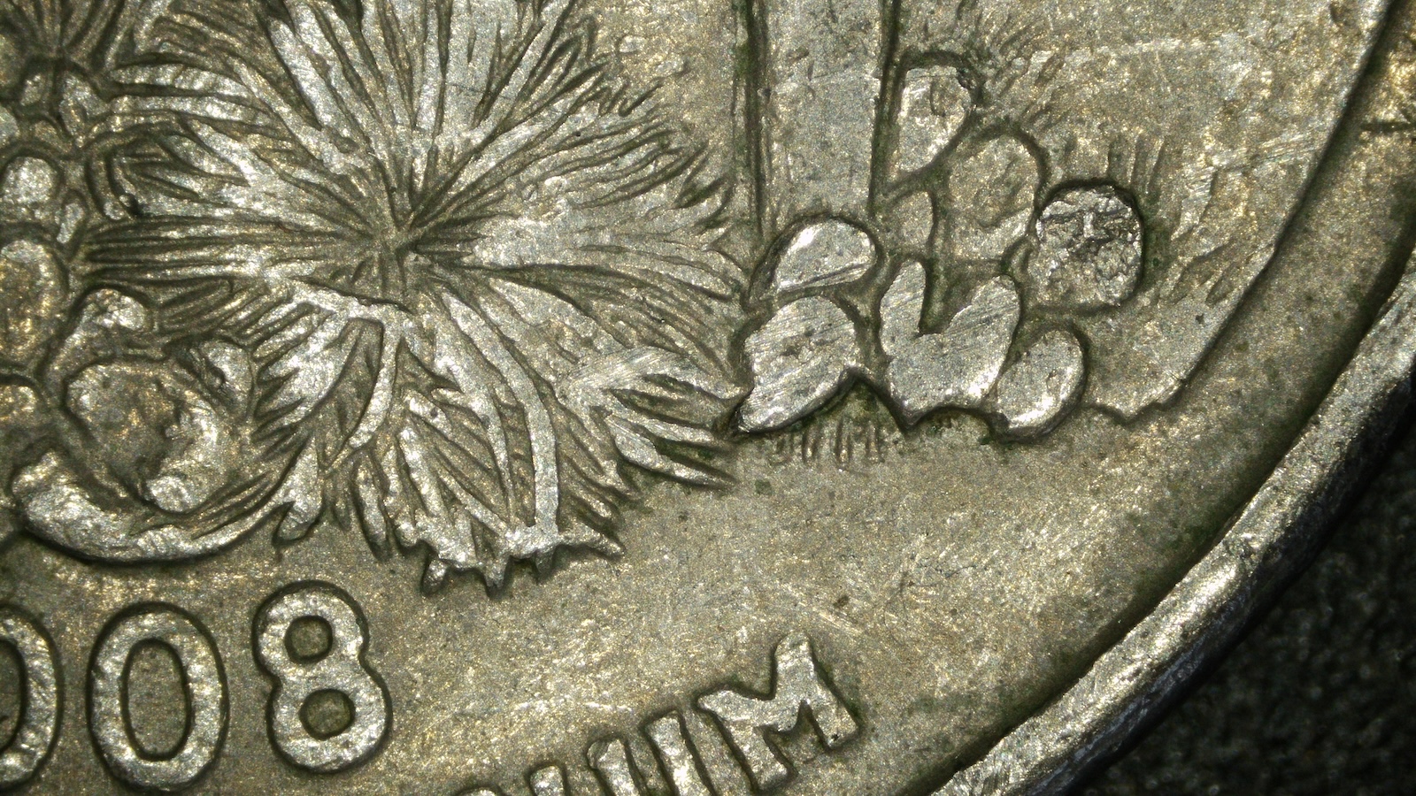 Detail view of the Arizona quarter reverse showing an interior die chip within the cactus design.