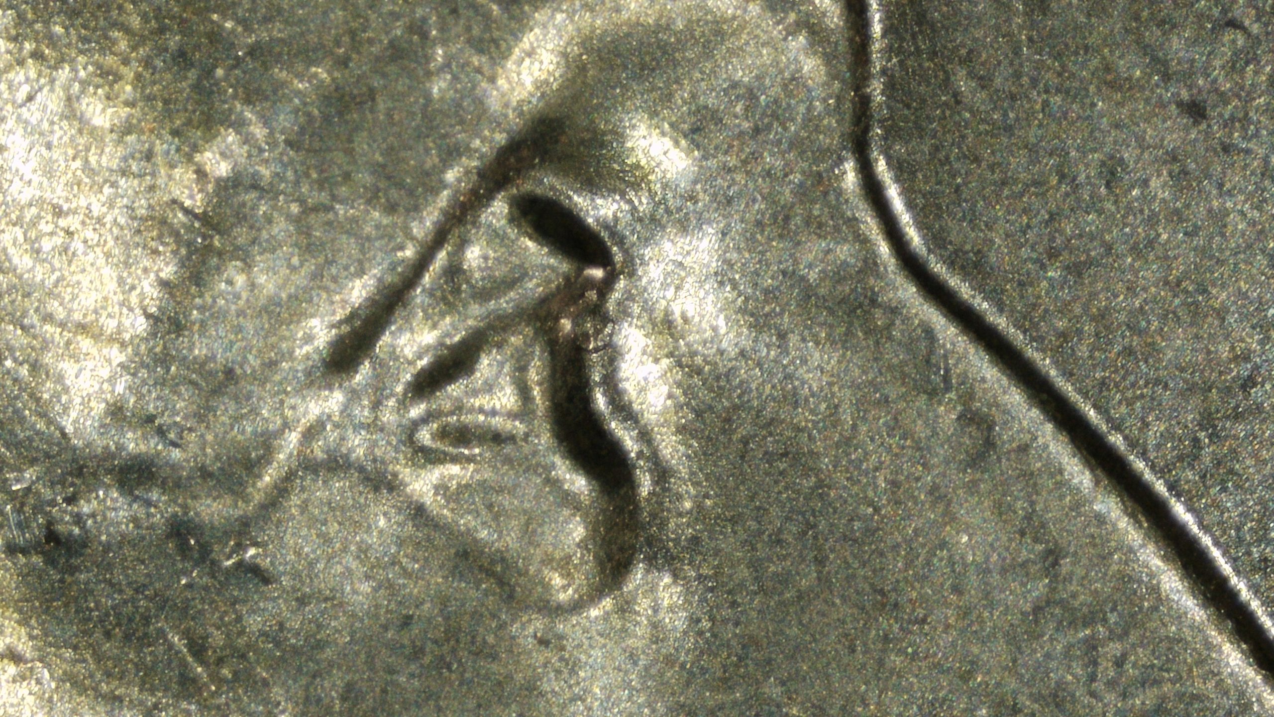 2024 P Mary Edwards Walker quarter doubled or tripled die on the eye